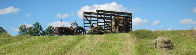 IMG_4907 - Version 2