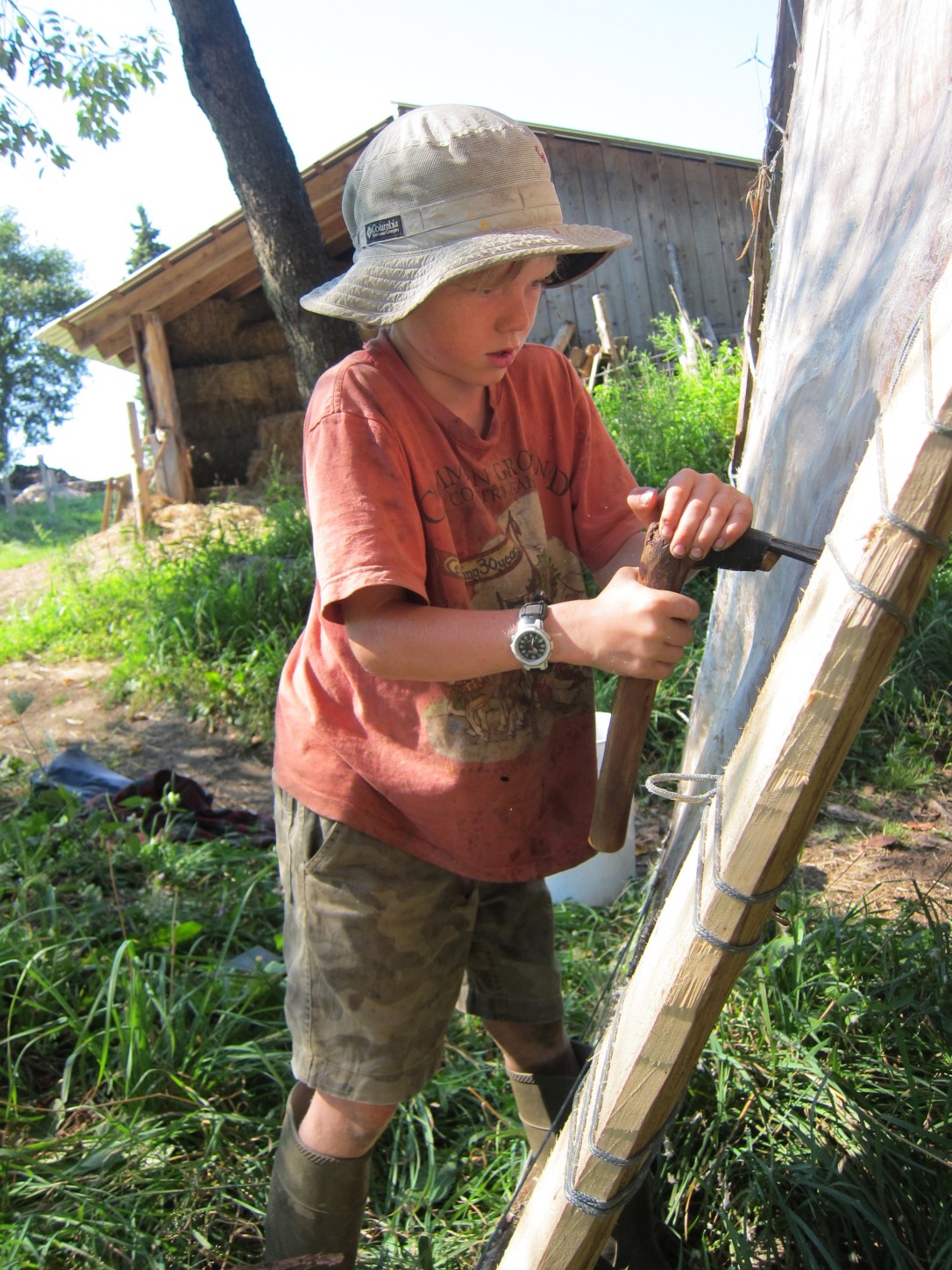 The hide is coming along