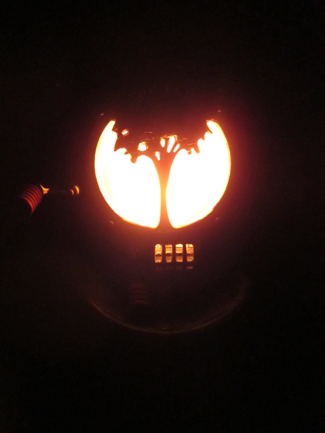 My view in the morning